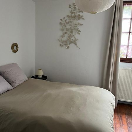 La Maison Du Pont Vieux カルカソンヌ エクステリア 写真